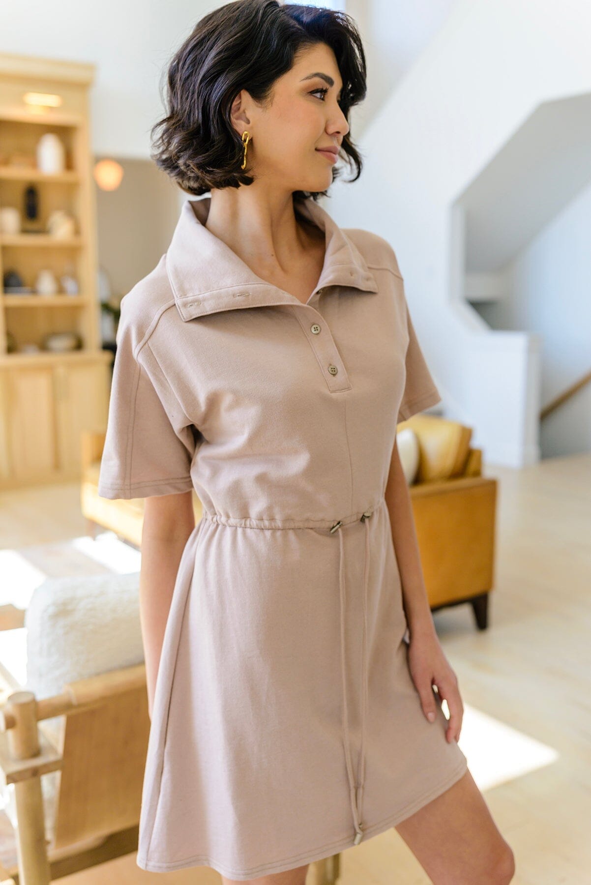Darla Button Up Collared Dress in Taupe Dresses Ave Shops 