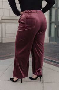 High Society Velvet Wide Leg Trousers Womens Ave Shops 
