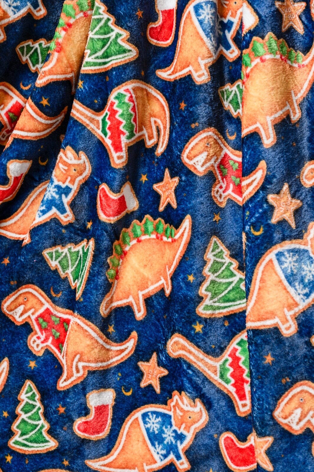 Holiday Fleece Blanket in Dino Cookie Womens Ave Shops 