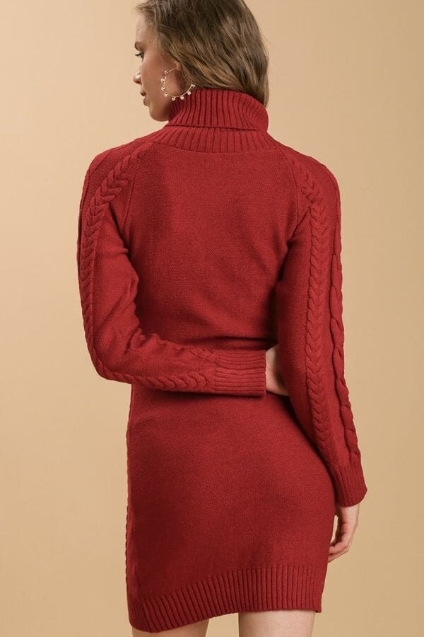 Red Cable Knit Sweater Dress with Turtle Neck Red Cable Knit Sweater Dress with Turtle Neck