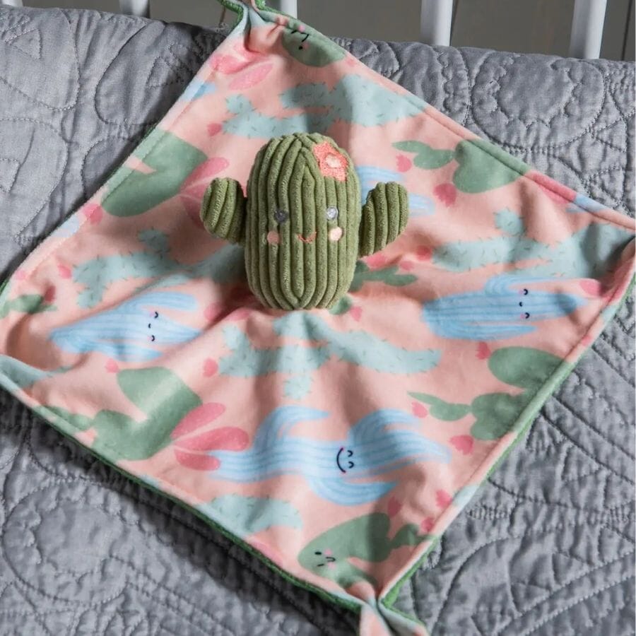 Sweet Soothie Cactus Blanket taggies Mary Meyer 